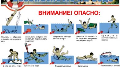 Photo of Советы для безопасного путешествия с ребенком