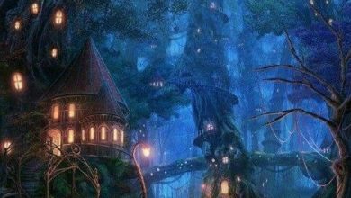 Photo of Сказочные миры на ночь