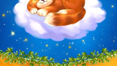 Photo of Лучшие сказки перед сном