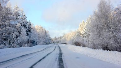 Photo of Когда тишина зимнего леса сменяется звуками снегохода